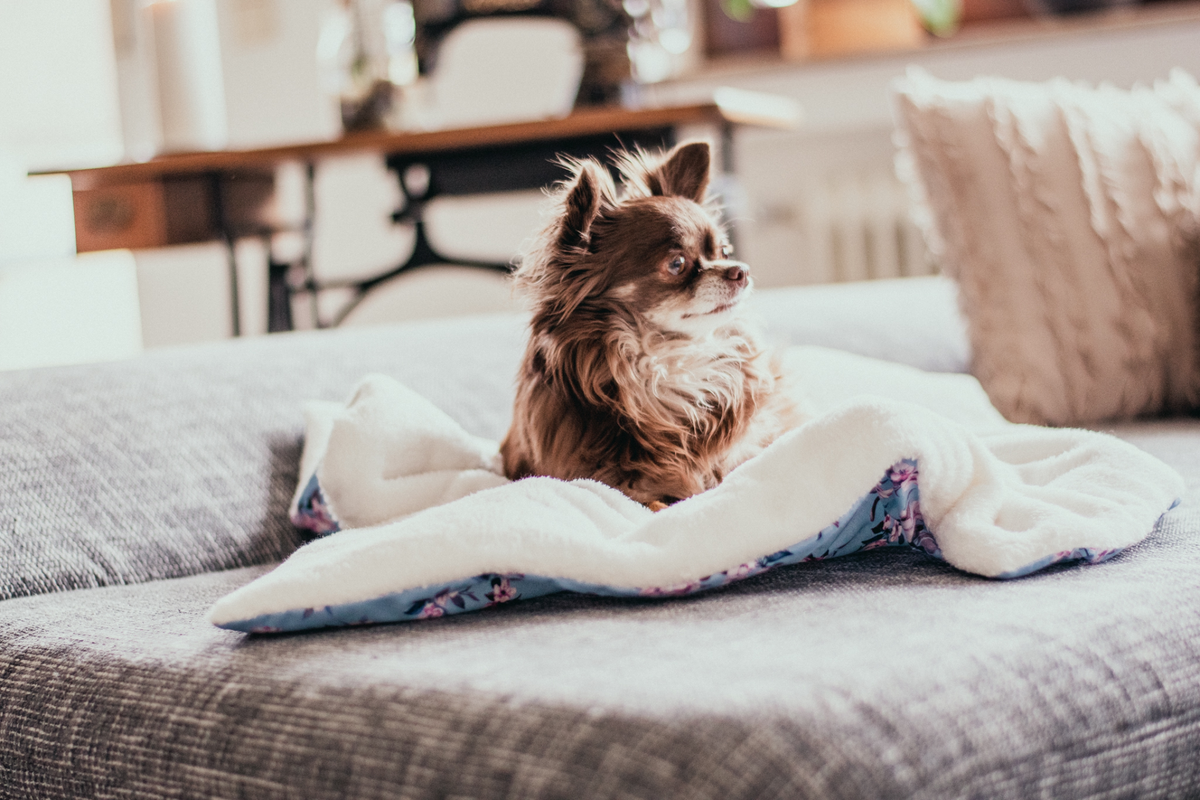 Kuscheldecke