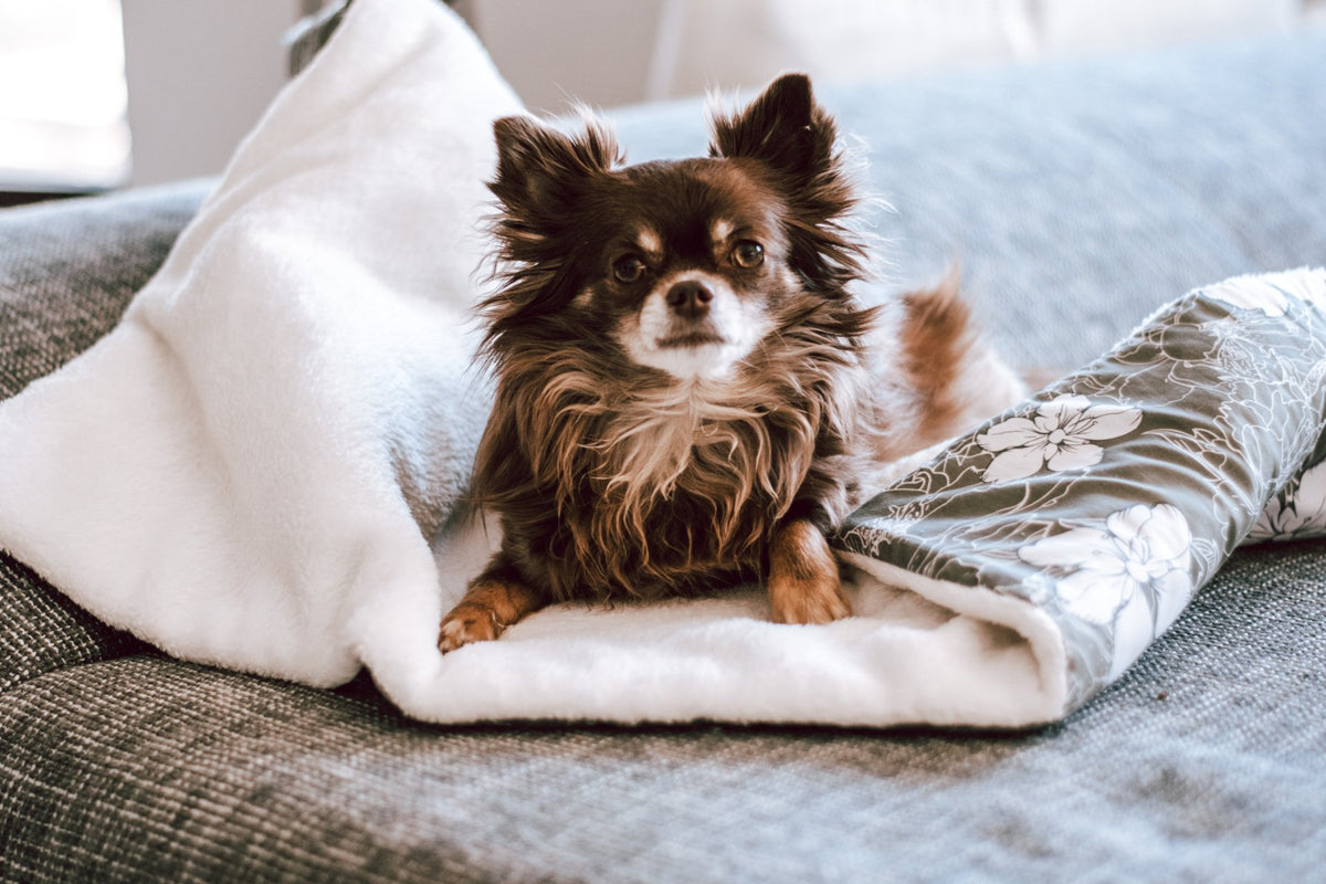 Kuscheldecke