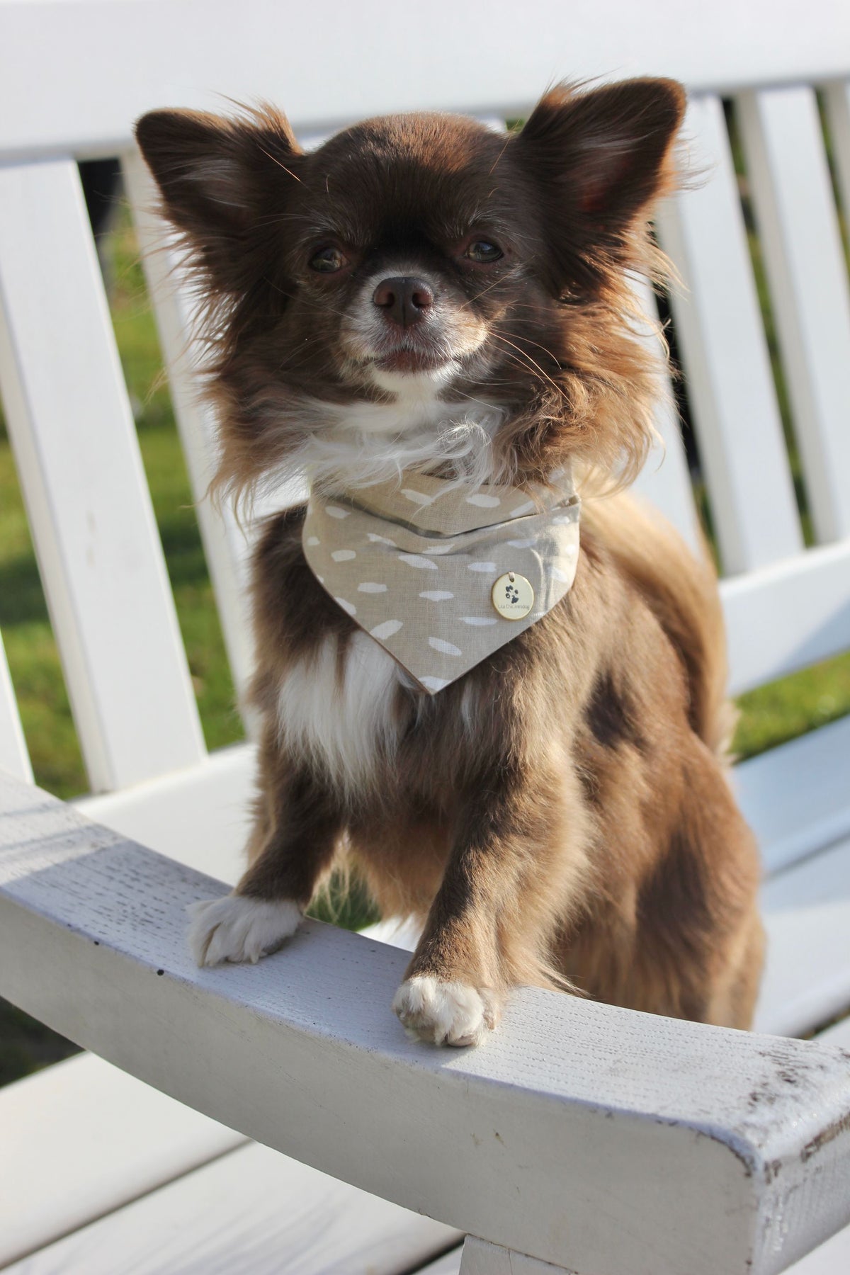Bandana
